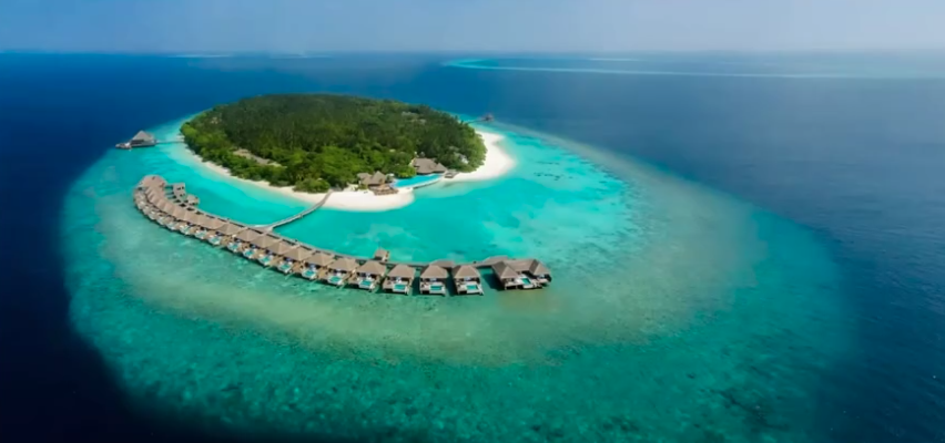 Вебинар по Мальдивам - Dusit Thani Maldives 5* и DusitD2 Feydhoo 5*